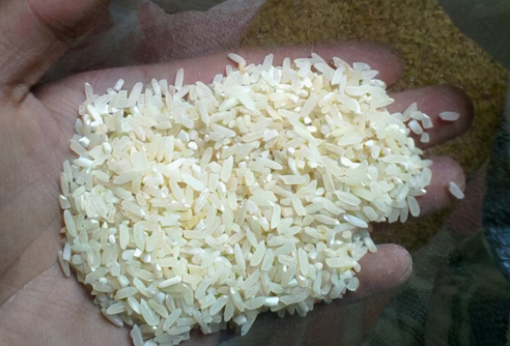 买大米买散装还是袋装,买大米散称好还是袋装好