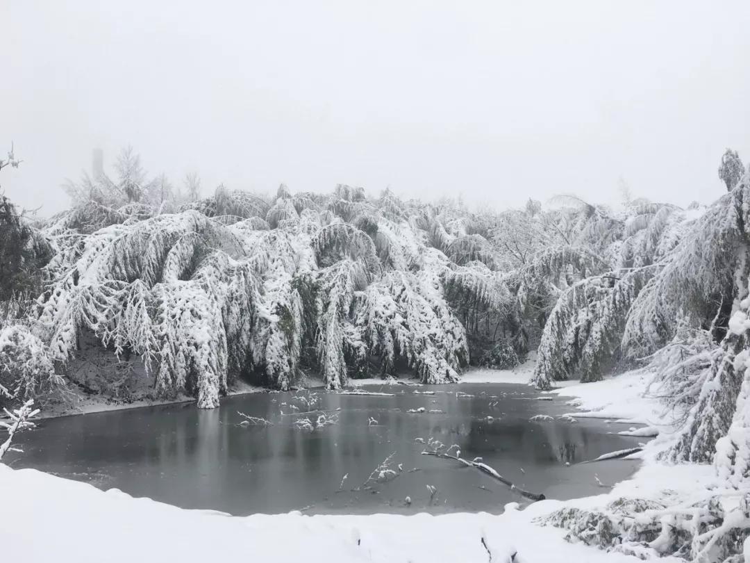 下雪啦春雪,九华山初雪时间