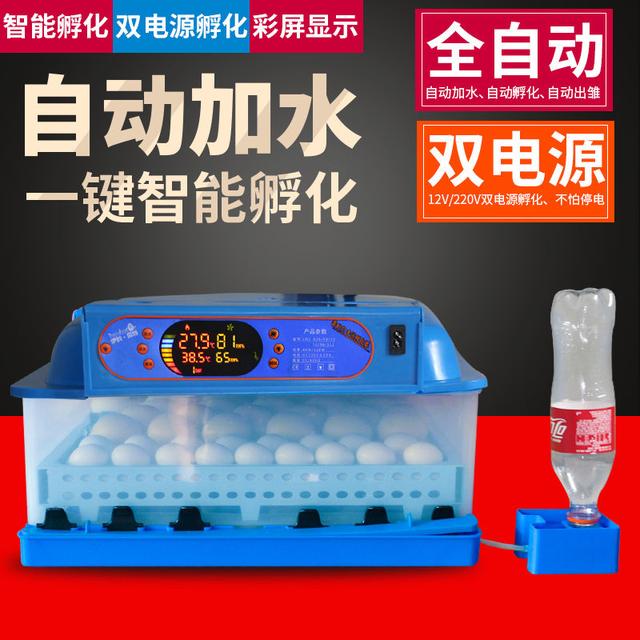 网友花了260元买榴莲,网友花1000块钱买了柴犬