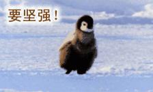 记住:“Sweetwater”的意思不是“甜水”,闹笑话就尴尬啦!