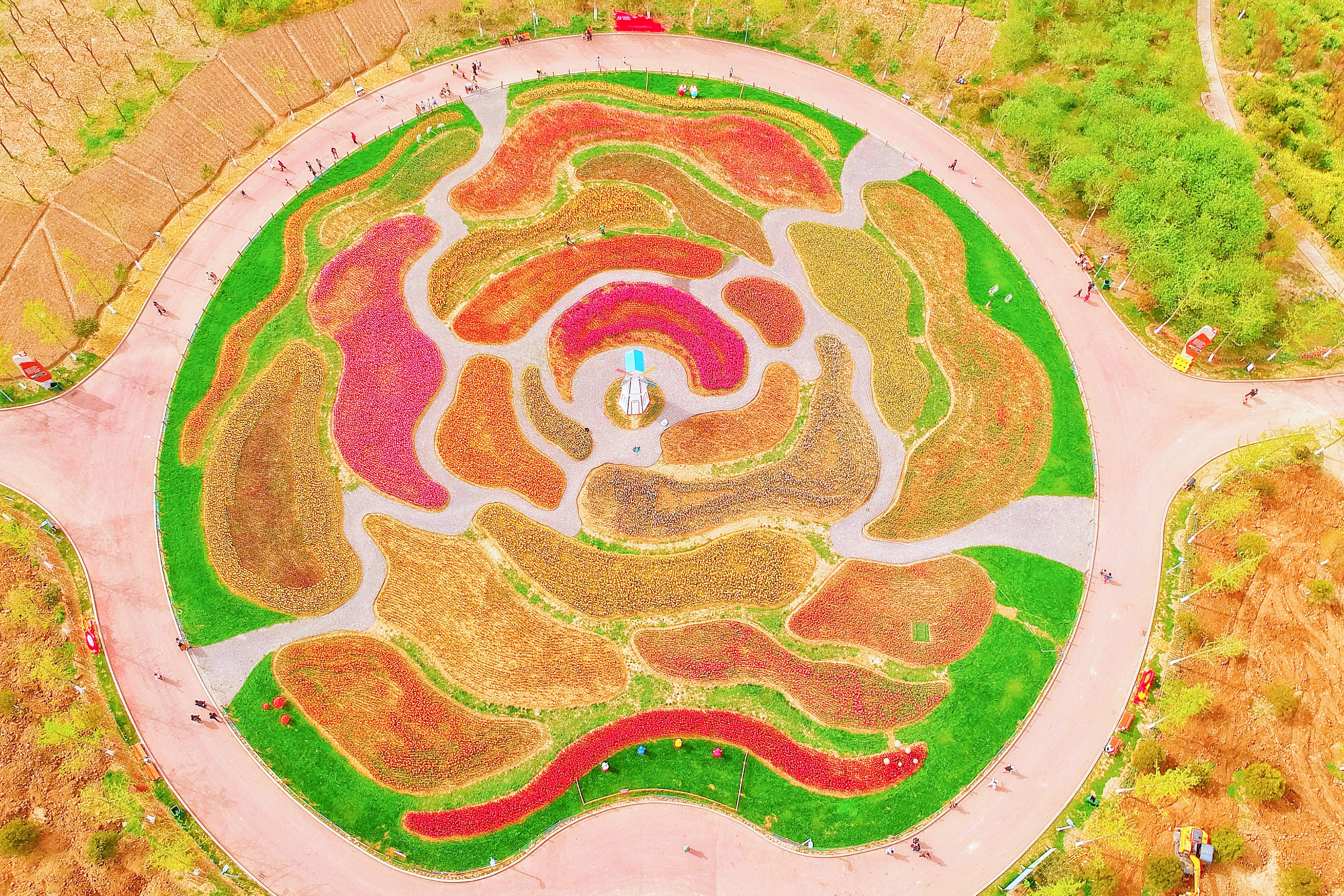 我和宿州有个约会,一场花事,一次慢旅行,探寻最烟火的宿州味道