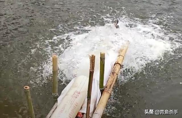 水中氧气含量与水深关系,水中氧气不足怎么钓鱼钓深钓浅