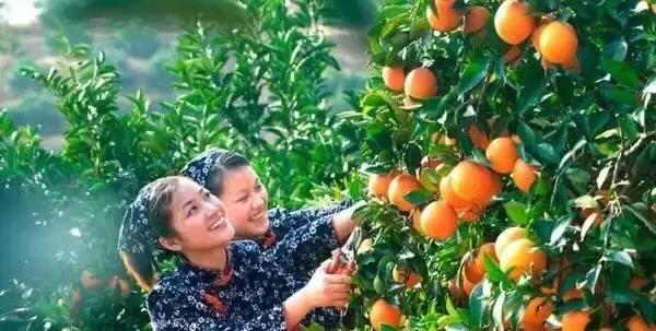 江西十大旅游秘境,春节绍兴去江西十大最美自驾路线