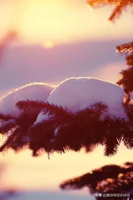 形容雪花飘落人心情舒畅的诗句,形容雪花飘落意境诗句