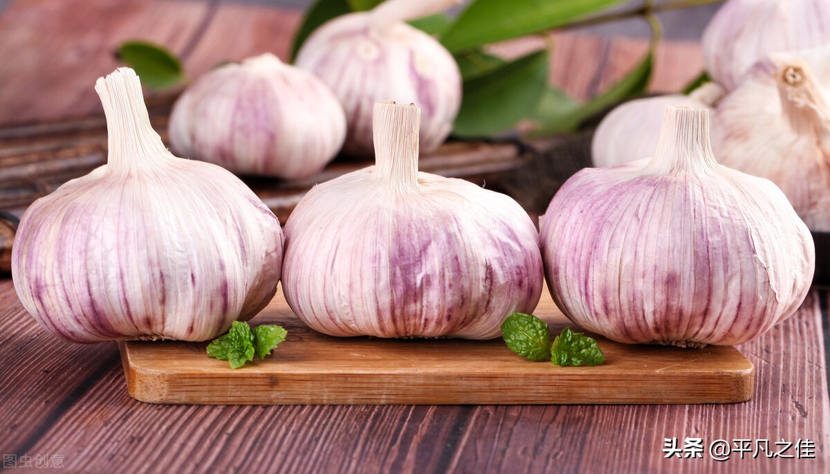 大蒜这么难吃为什么有人喜欢,这么好吃的大蒜你敢吃吗