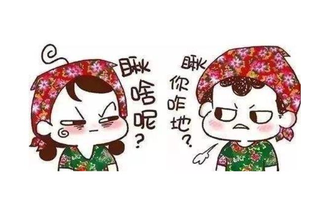 东北名菜小鸡炖蘑菇,东北四大硬菜公鸡炖母鸡