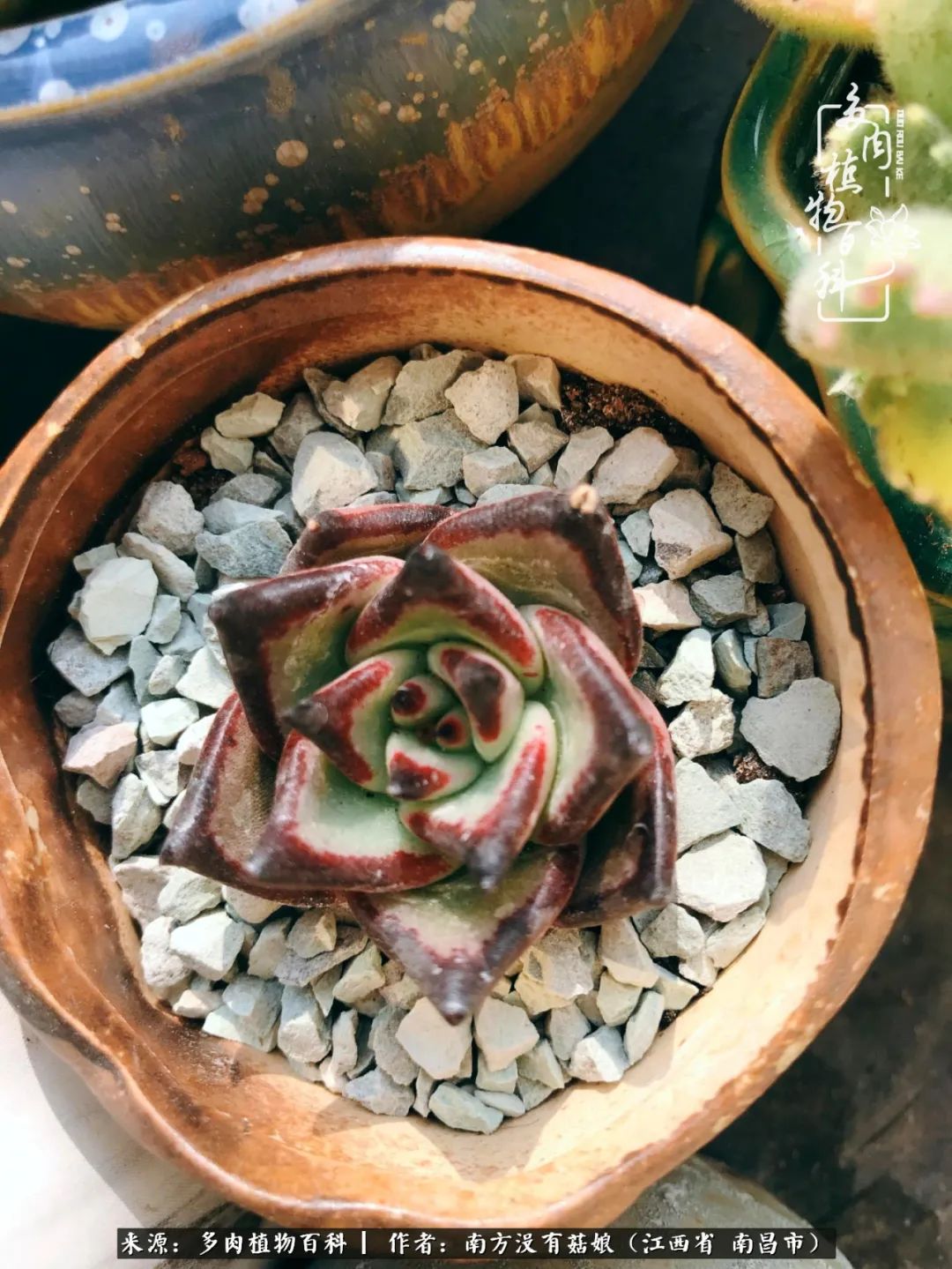 既见云胡不喜,既见君子云胡不喜毛笔楷书