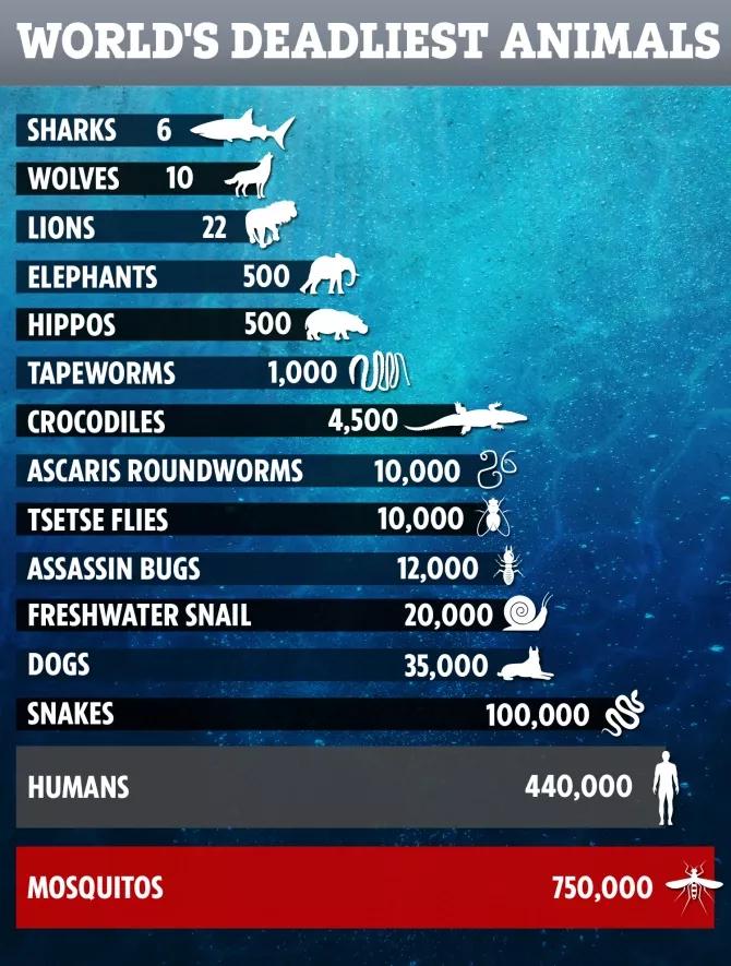 被“青春伤痛文学”冤枉了十几年，金鱼：我的记忆真的不止7秒