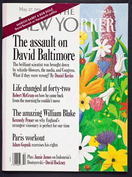 巴尔的摩有什么案件,巴尔的摩事件