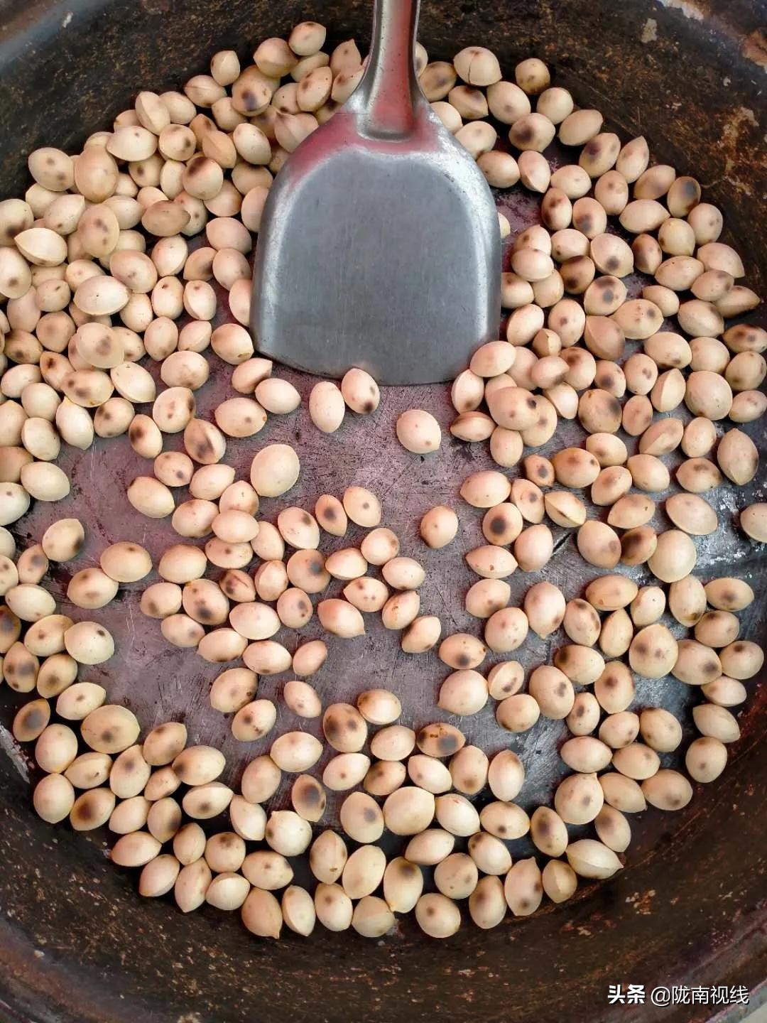 闄囧崡椋庡摜璧勮,椋庡摜寰掓鐩存挱