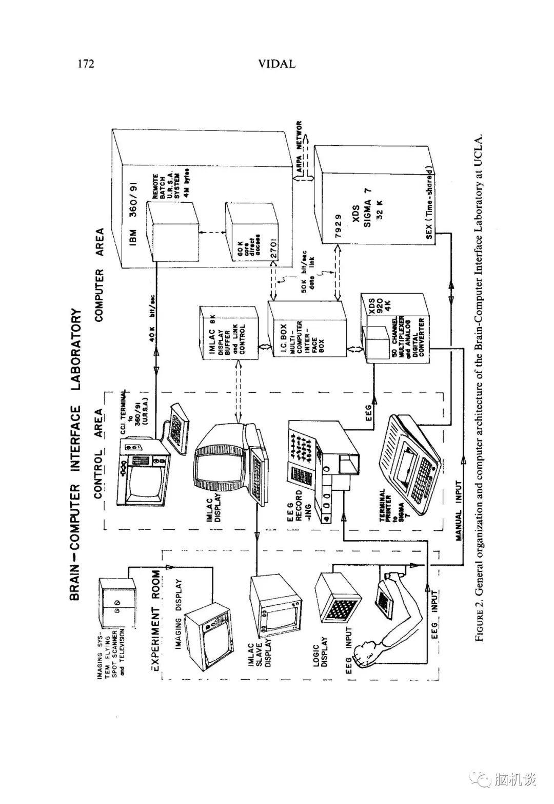 ​《脑机往事（3）—维达尔的秘密》