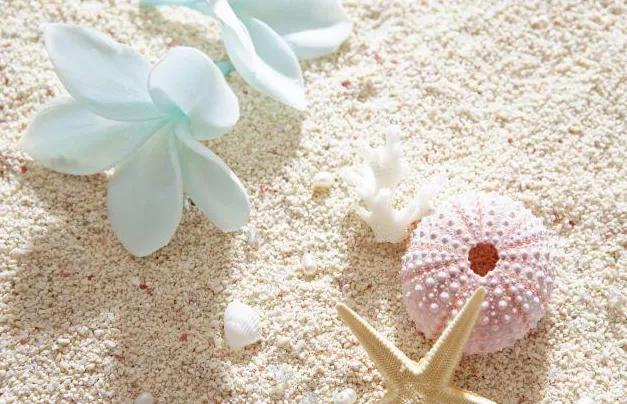 人生感悟一句话正能量短句,高质量语录正能量句子