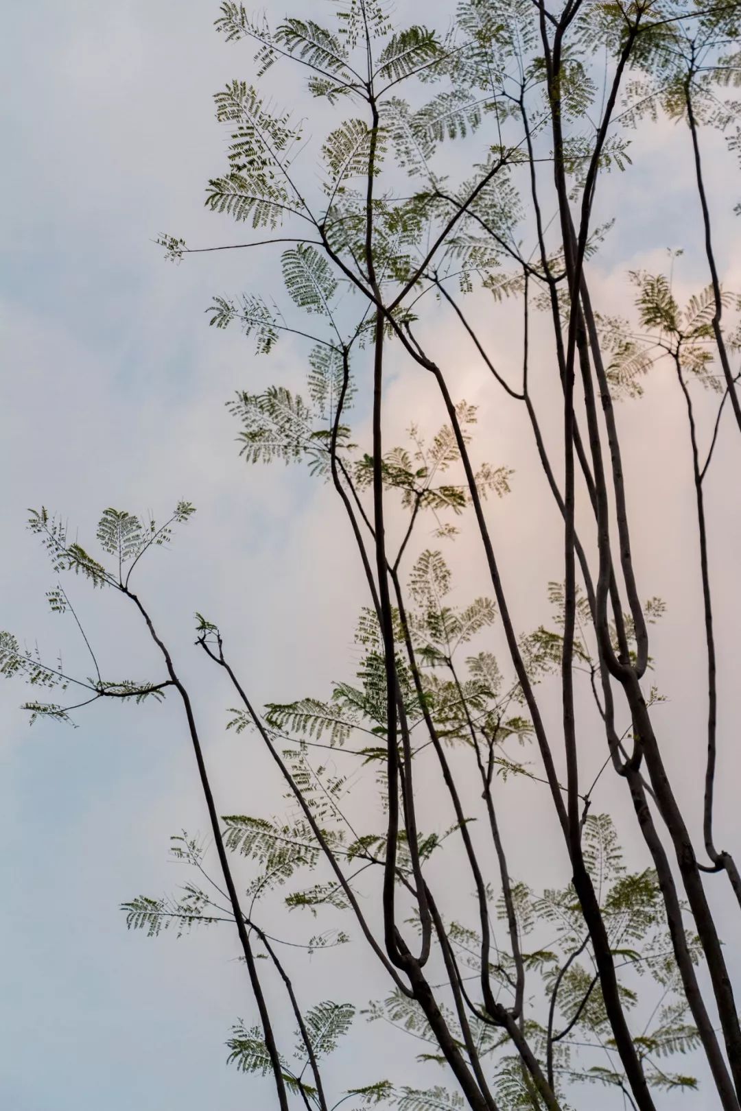 深圳好玩景点地铁路线,深圳好玩免费景点地铁直达的