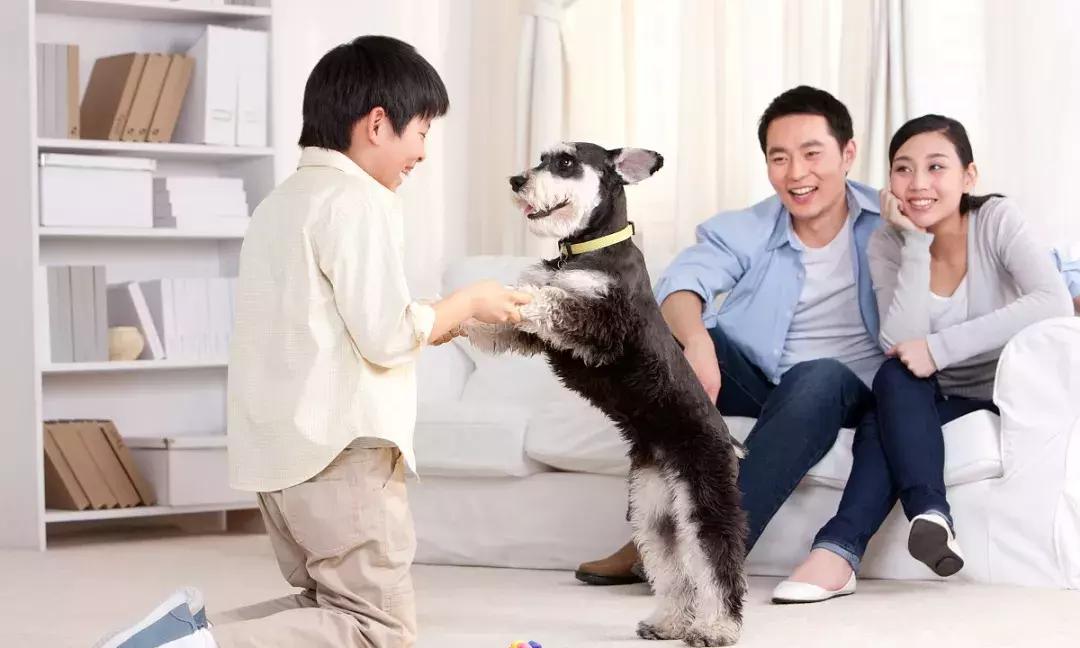 适合幼儿玩的刺激的英语游戏,亲子游戏的英语