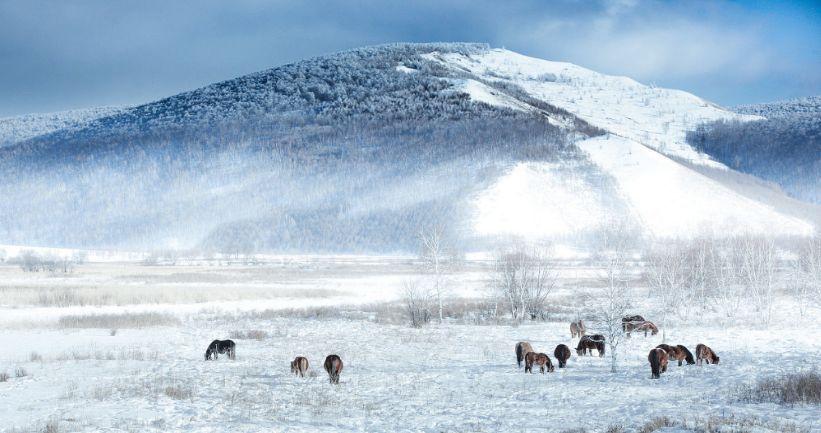 杩欐墠鍙湡姝ｇ殑闆櫙,浣犱互涓虹殑闆櫙鎷嶇収