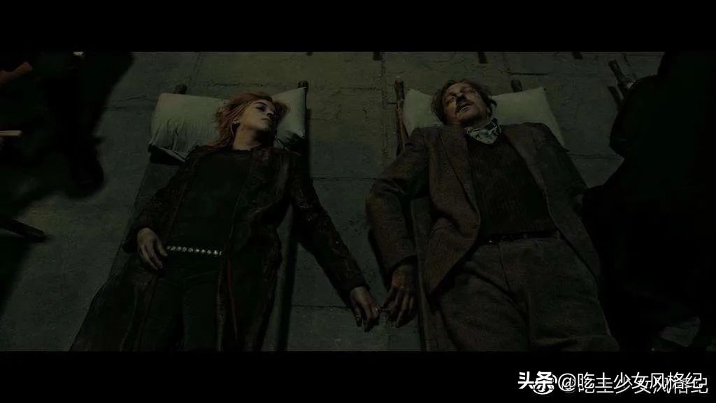 哈利波特四十岁生日的样子,哈利波特十九年后