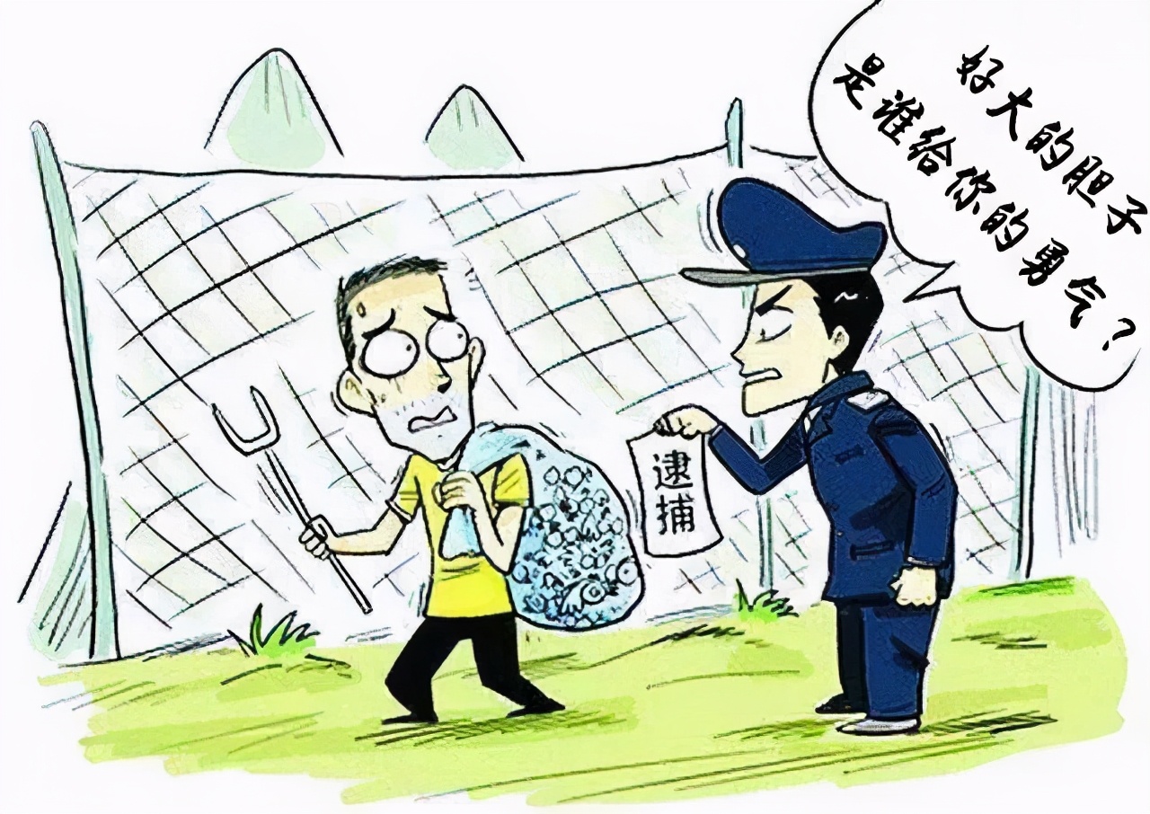 豹猫觅食咬死农户37只鸡,野生豹猫咬死家禽