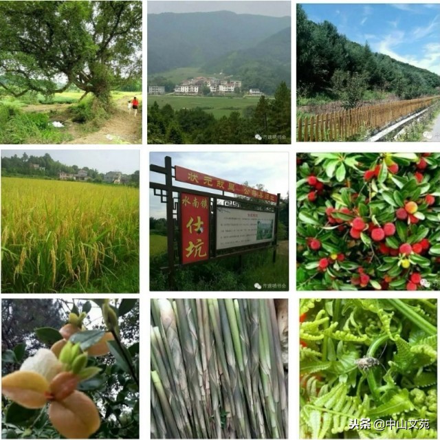 张裕华｜来，我们干杯——致仕坑村的兄弟姐妹