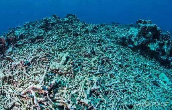 2019年地球进入小冰期,地球是大灾大难还是地球末日