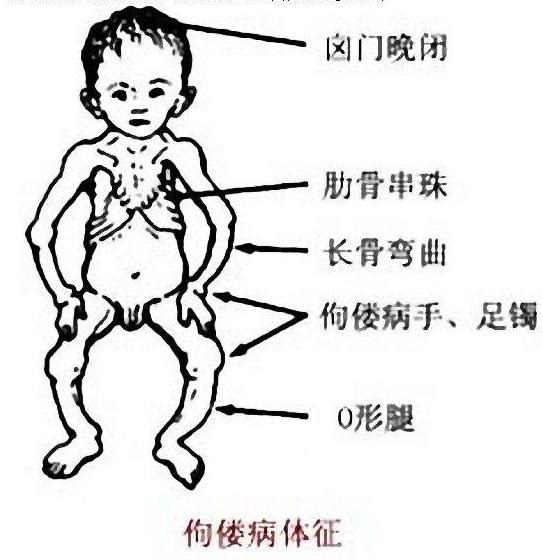 孕期补钙选择什么钙片最好,钙片怎么选怎么补钙吸收效率高