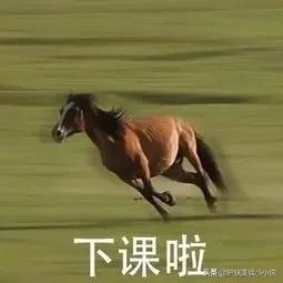 护肤好评前十名,好用的护肤品推荐防晒