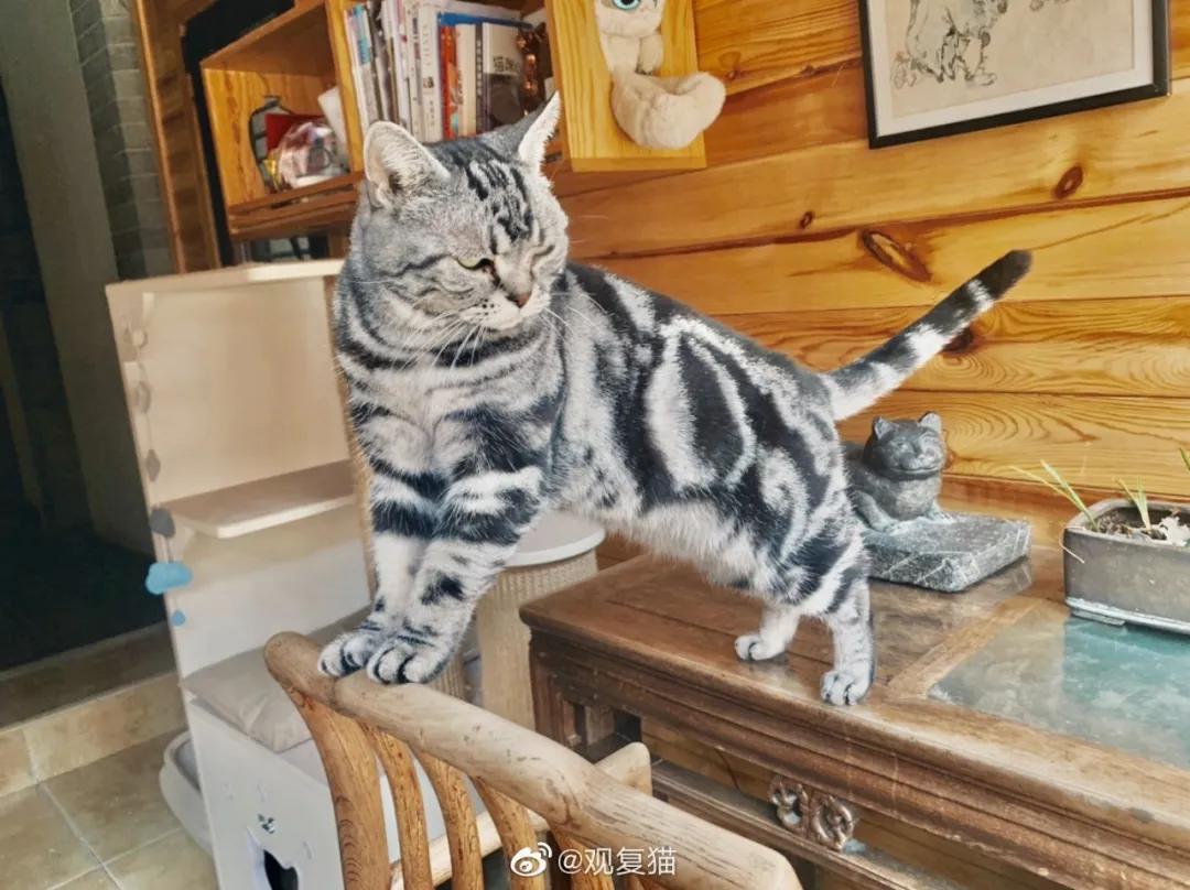 2019年掉缸事件,关于掉缸的事件