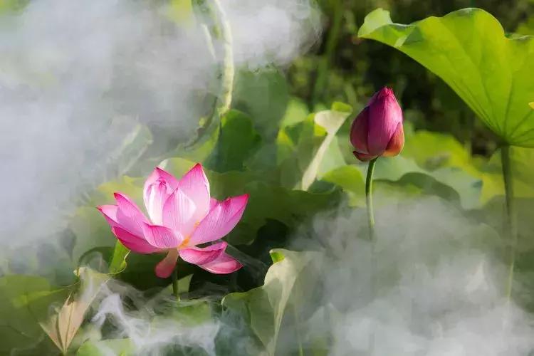 犍为美丽的风景,大犍为的风景就是漂亮