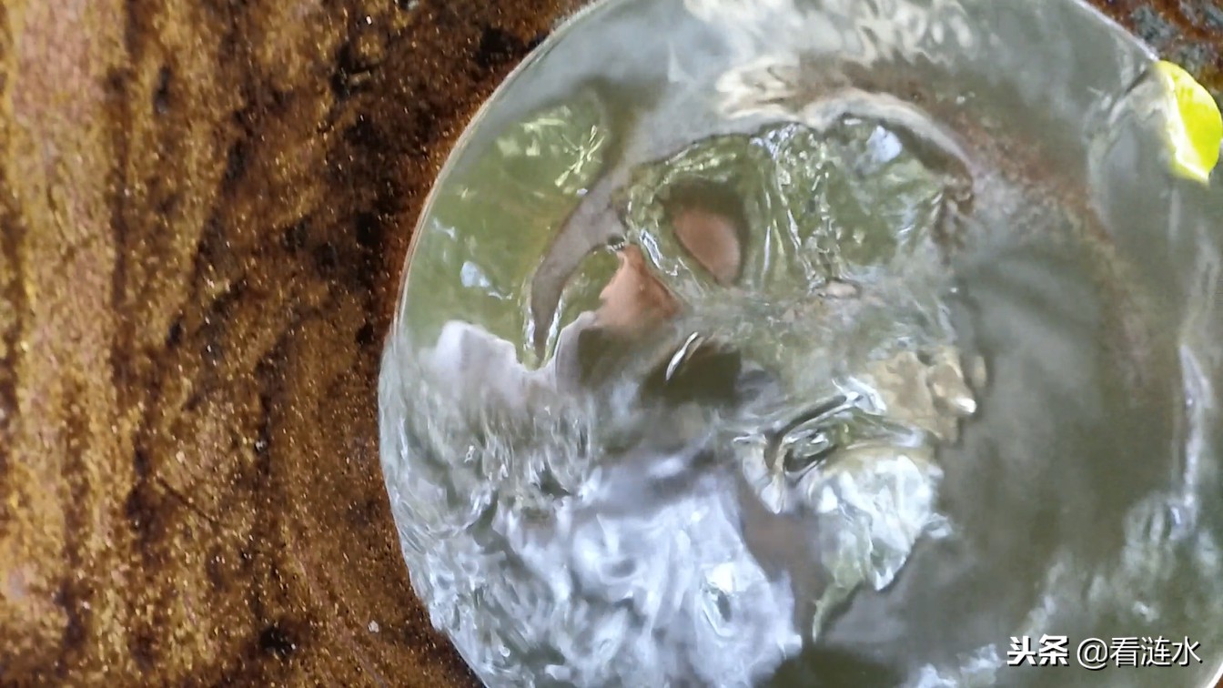 农村水缸里起青苔如何去除,水缸除青苔最好方法