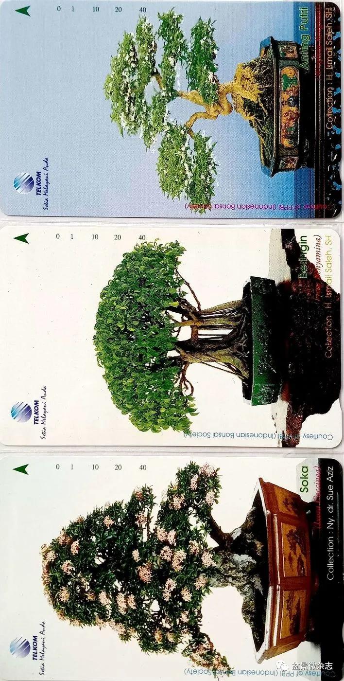 鐩嗘櫙鑱旂郴鐢佃瘽,鐩嗘櫙鑱旂郴鐢佃瘽鍙风爜