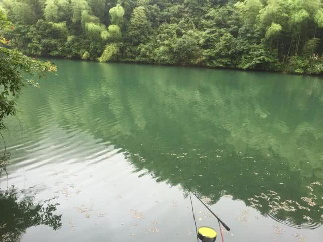 野钓还是传统钓好,野钓选择位置