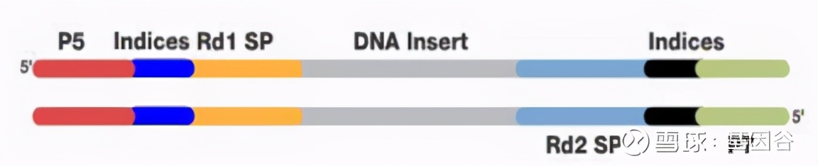 全场硬菜!分子诊断技术全解析
