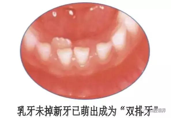 妈妈们暑假应该做什么,妈妈暑假也要让孩子学习