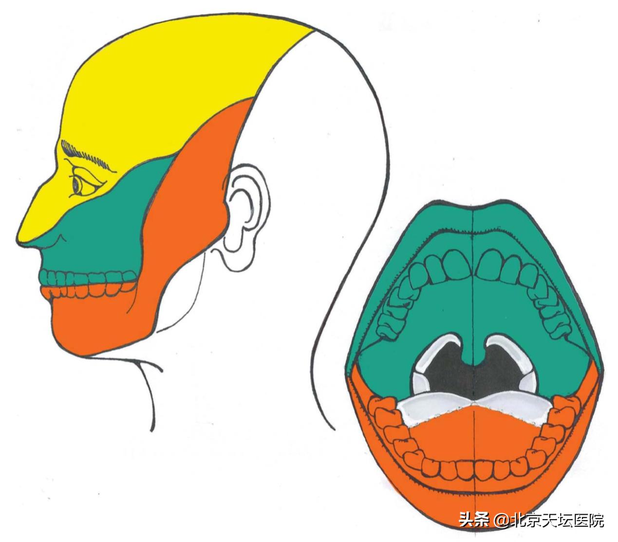 痛起来真的是要命,痛起来要命的病