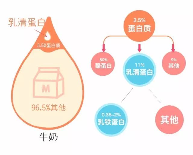 十种优质蛋白你一定要知道,蛋白营养前后对比