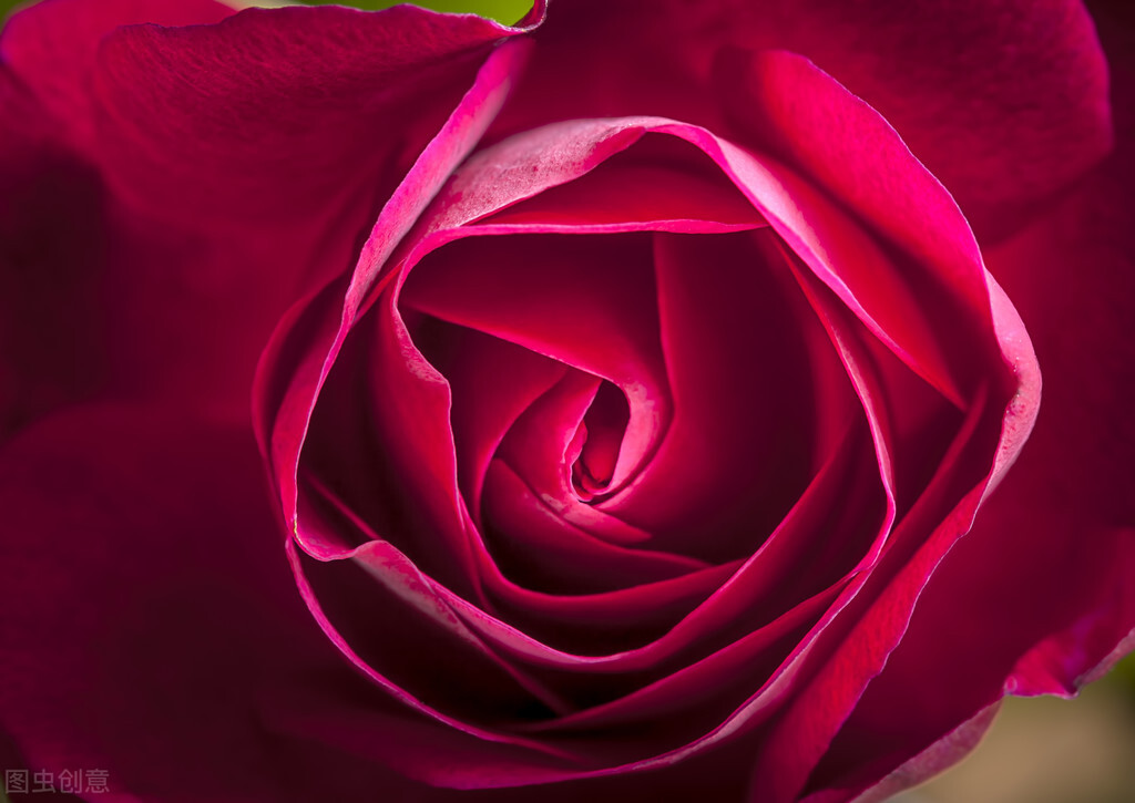 有只蚊子的故事,有一只蚊子的故事