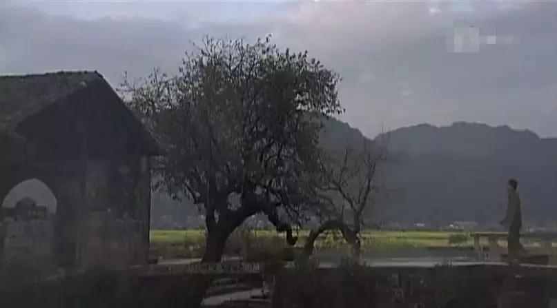 我的团长我的团主演去腾冲祭奠,我的团长我的团是在腾冲拍的吗