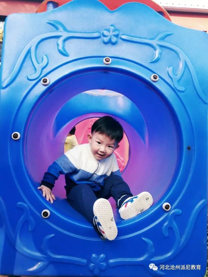 爱上幼儿园第一季全集,爱上幼儿园