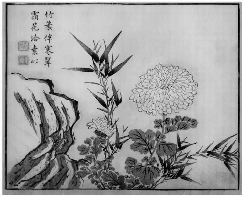 国画菊花的简单画法步骤图片,国画入门零基础自学画菊花