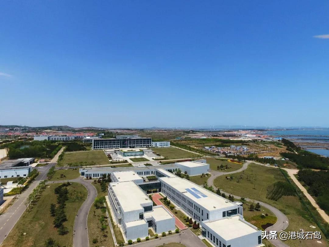 国企扎堆选择石岛，何为？