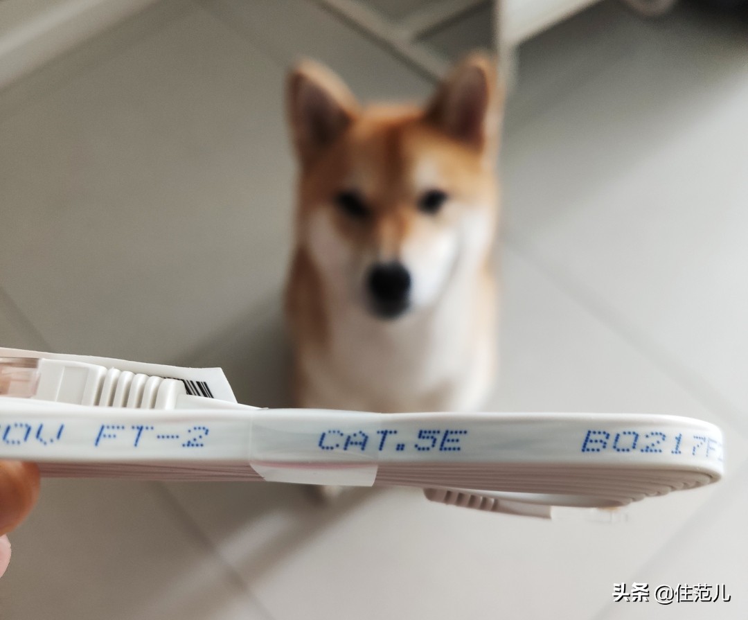 网件路由器有线mesh组网,忘装网线