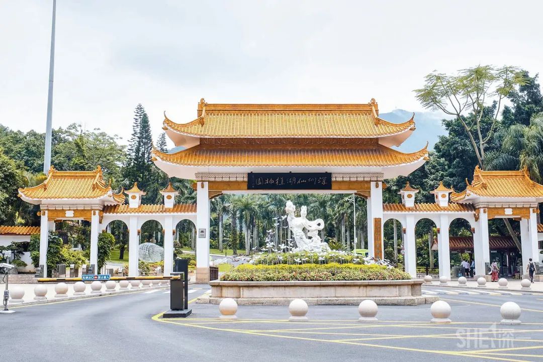 深圳30个经典片区,深圳这座城市承载了太多回忆