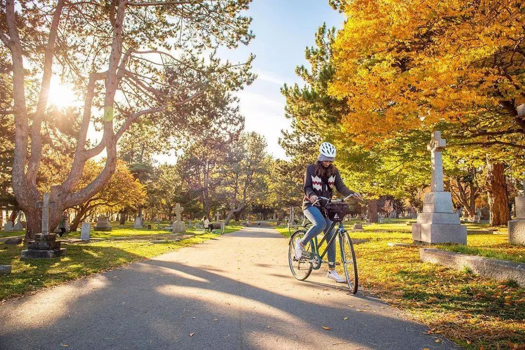 冬季世界冠军,世界冠军的辛酸