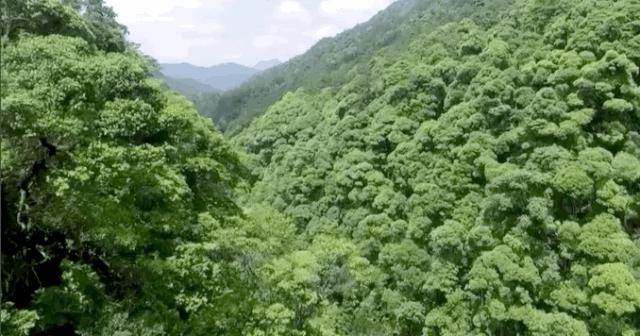 马云去的江西小镇,马云在浙江几个小镇