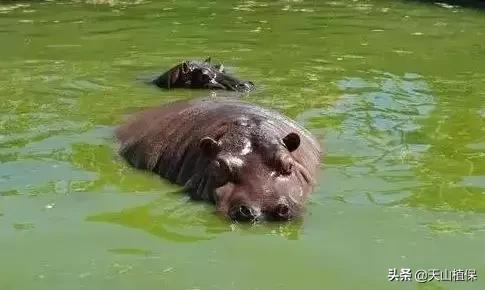 乌鲁木齐90后的南门回忆,乌鲁木齐人民公园记忆