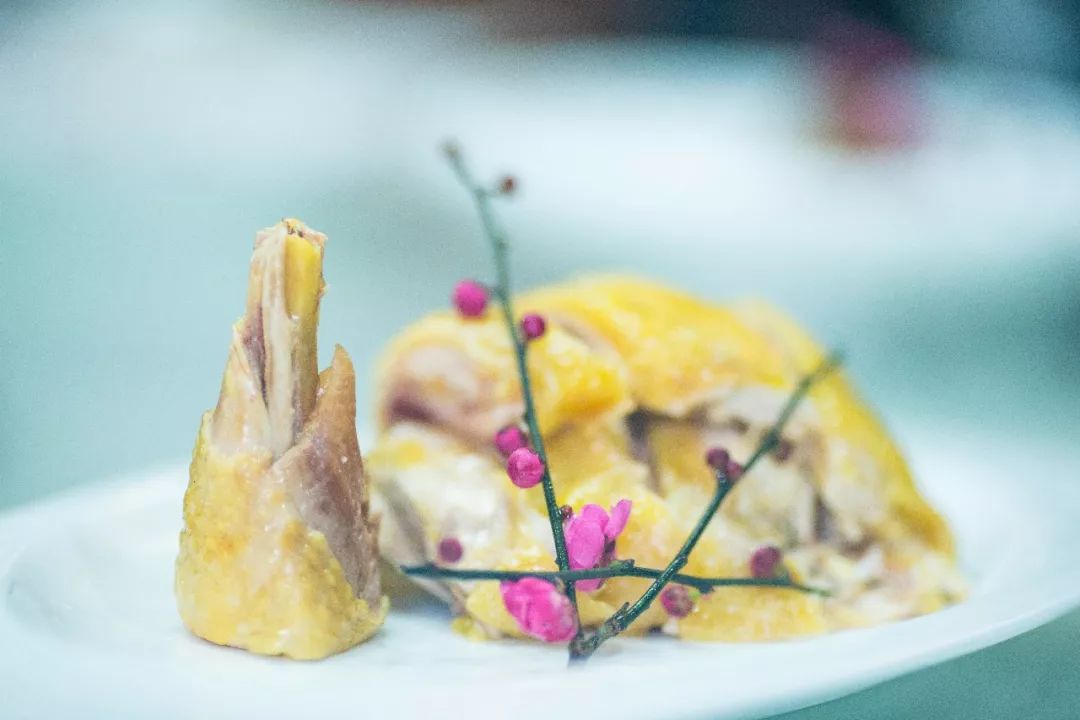 杭州孤山梅园图片,杭州赏梅园