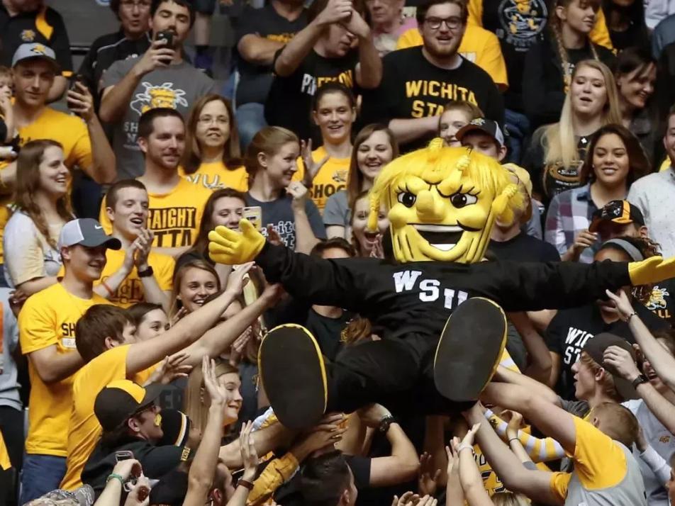 高校吉祥物盘点,高校吉祥物图鉴大全