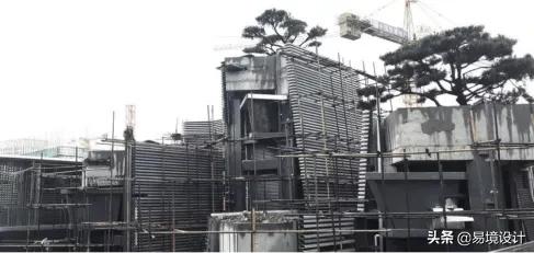 易境自然景观,易境共享茶室