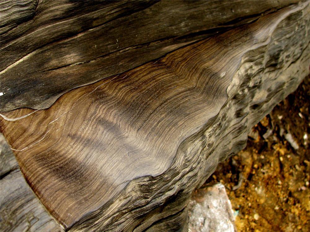 地下挖出千年阴沉木,四川挖出阴沉木