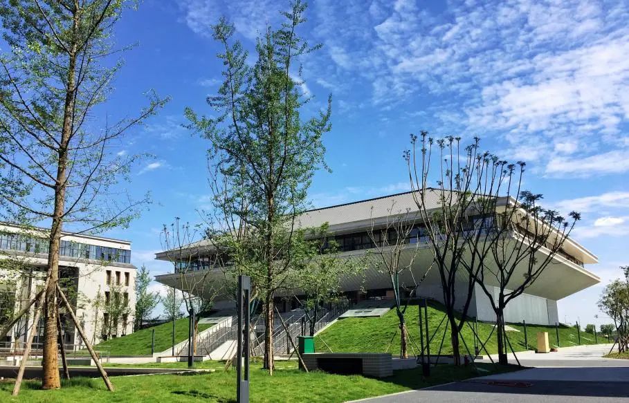 2023天府四中摇号率,天府四中初中部摇中率