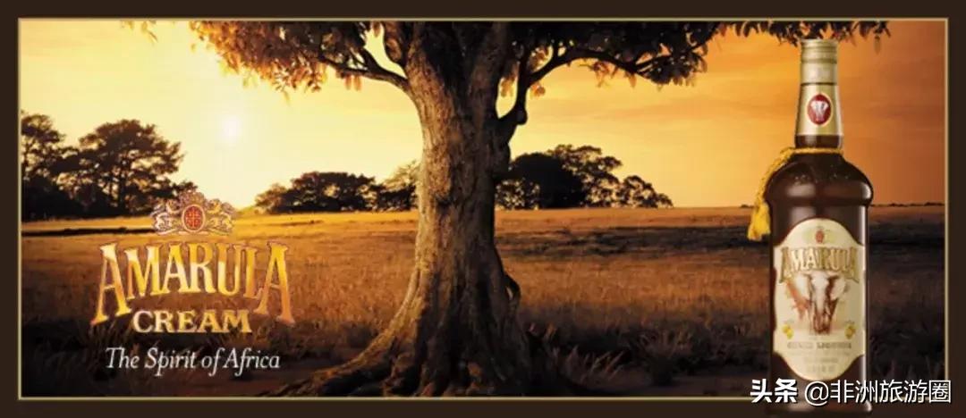 南非旅游购物必买清单,南非购物